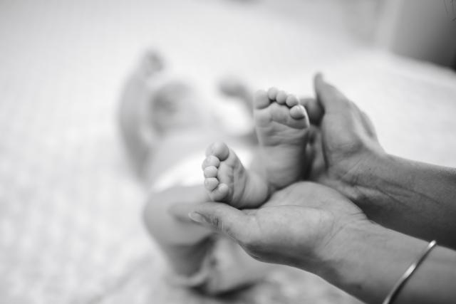 Servicii foto si video-md.tipi-top.eu